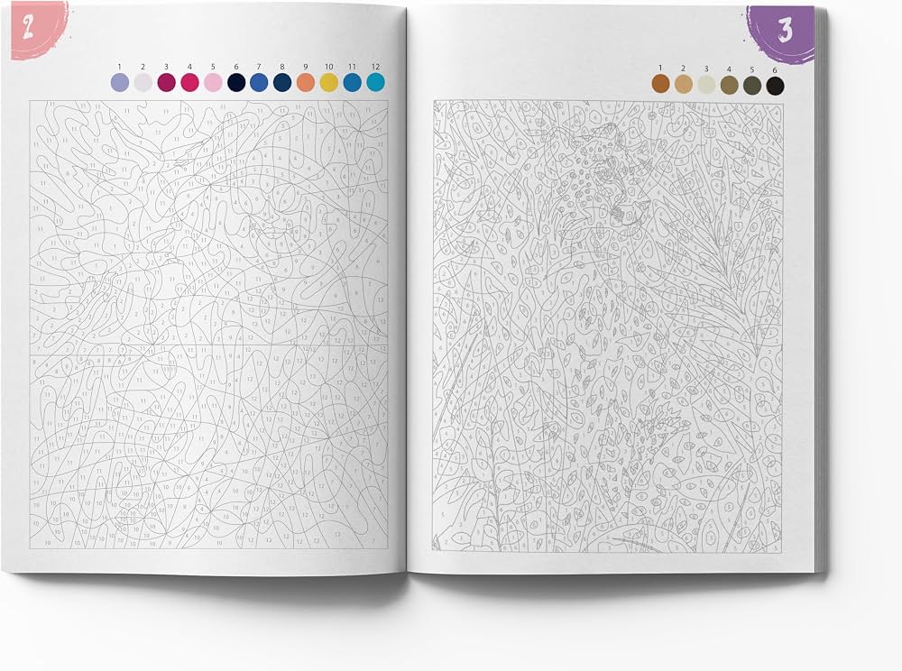 Coloriage Mystery Coloring Books (300 Mysteries)
