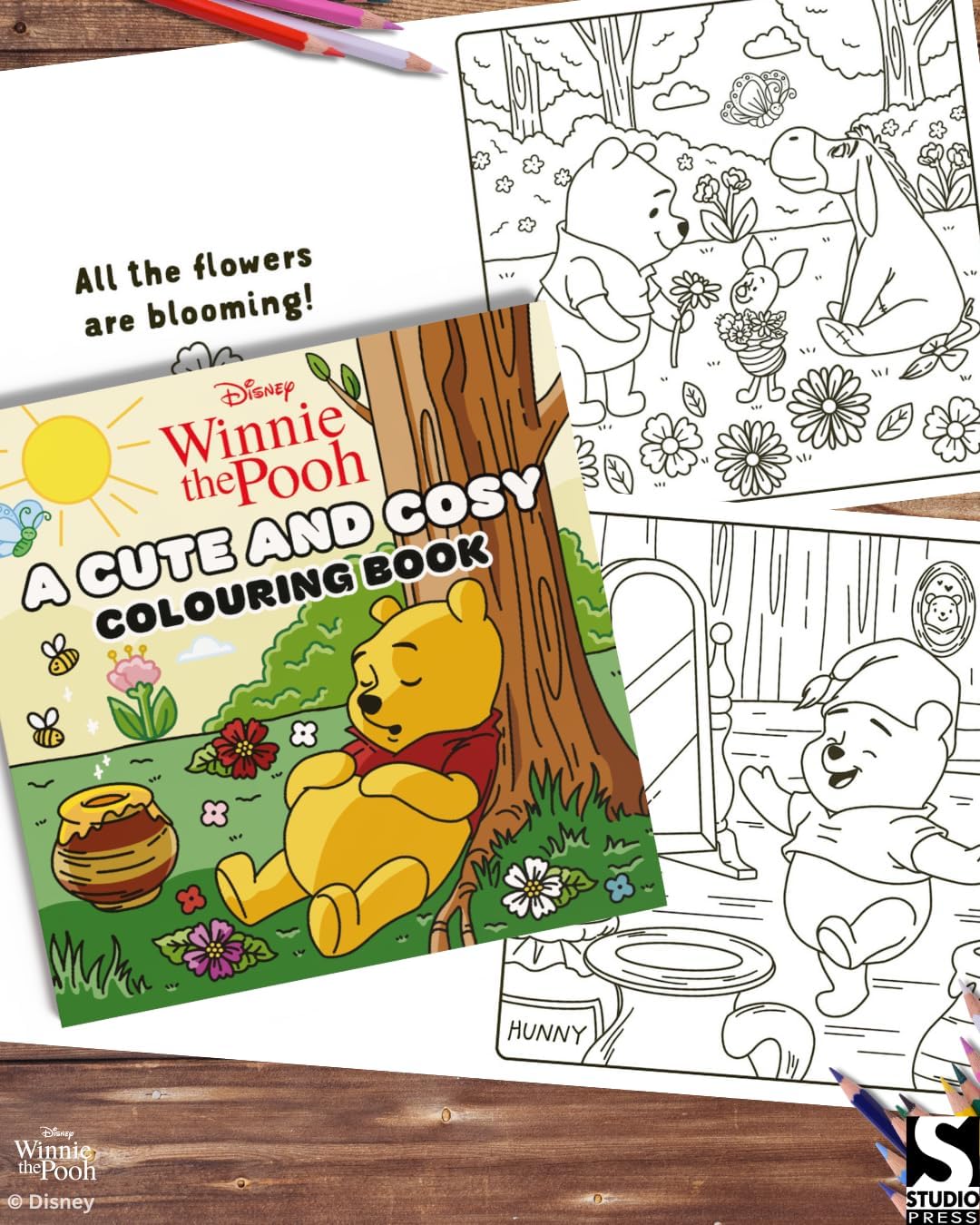Alcohol Markers Coloring Book
: Cute and Cosy (Winnie The Pooh)