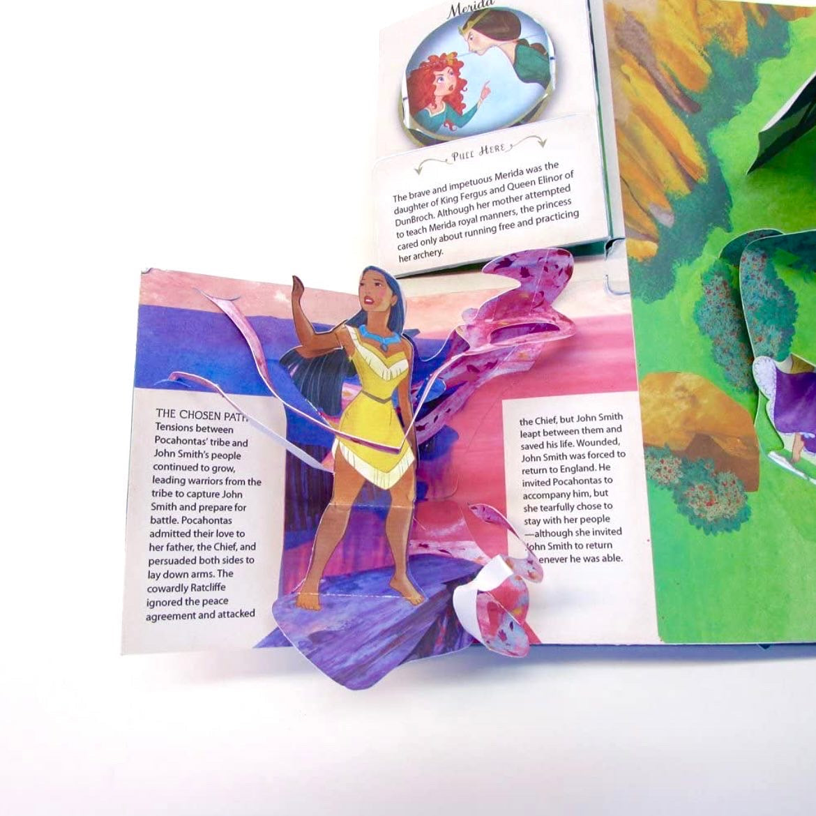 Disney Princess Pop Up Book