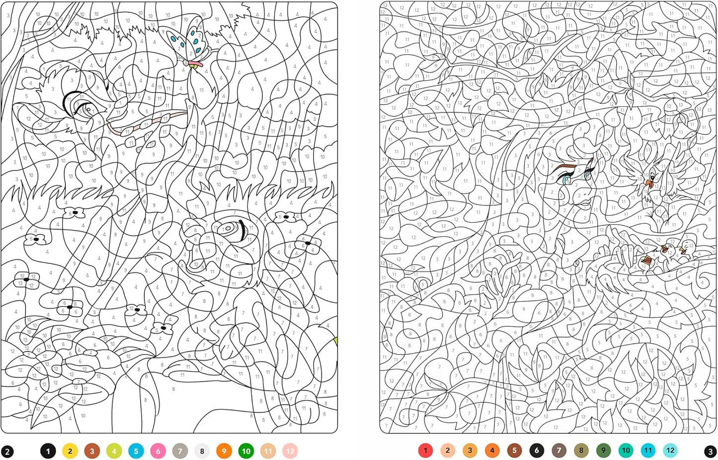 Kids Coloring By Numbers (Nature)