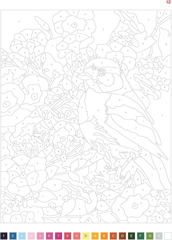 Coloriage Mystery Coloring Books (Serenite)