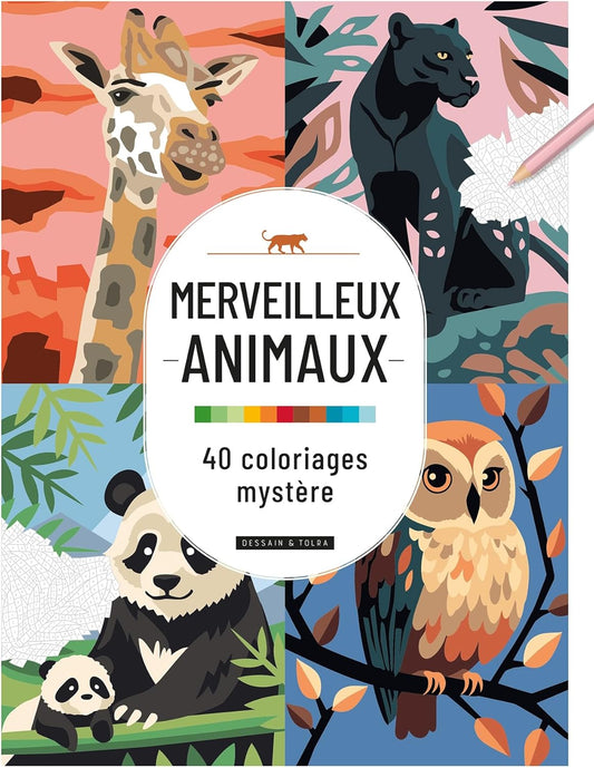 Mystery Coloring Book: Animals