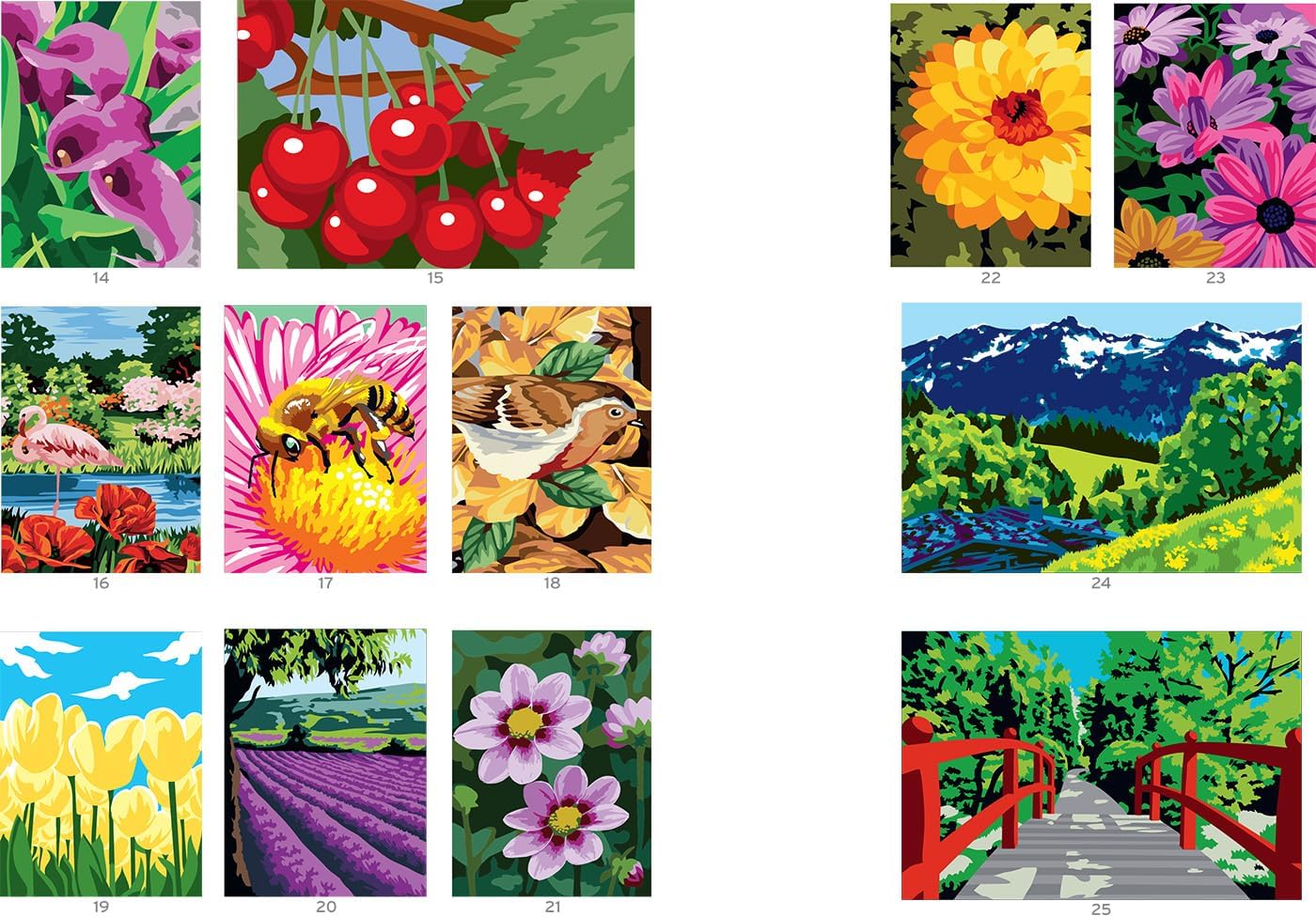 Coloriage Mystery Coloring Books (Extraordinary Gardens)