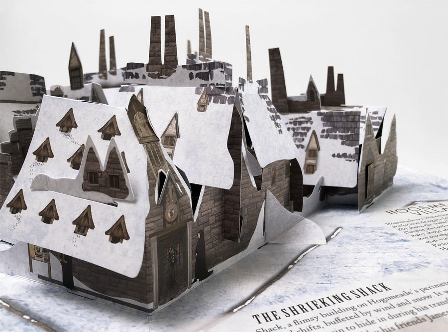 Harry Potter Pop-up Book (A Guide To Hogwarts)