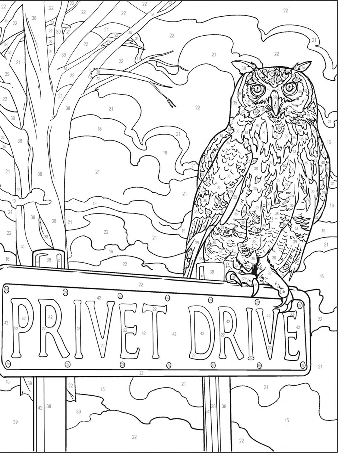 Coloriage Mystery Coloring Books (Harry Potter)