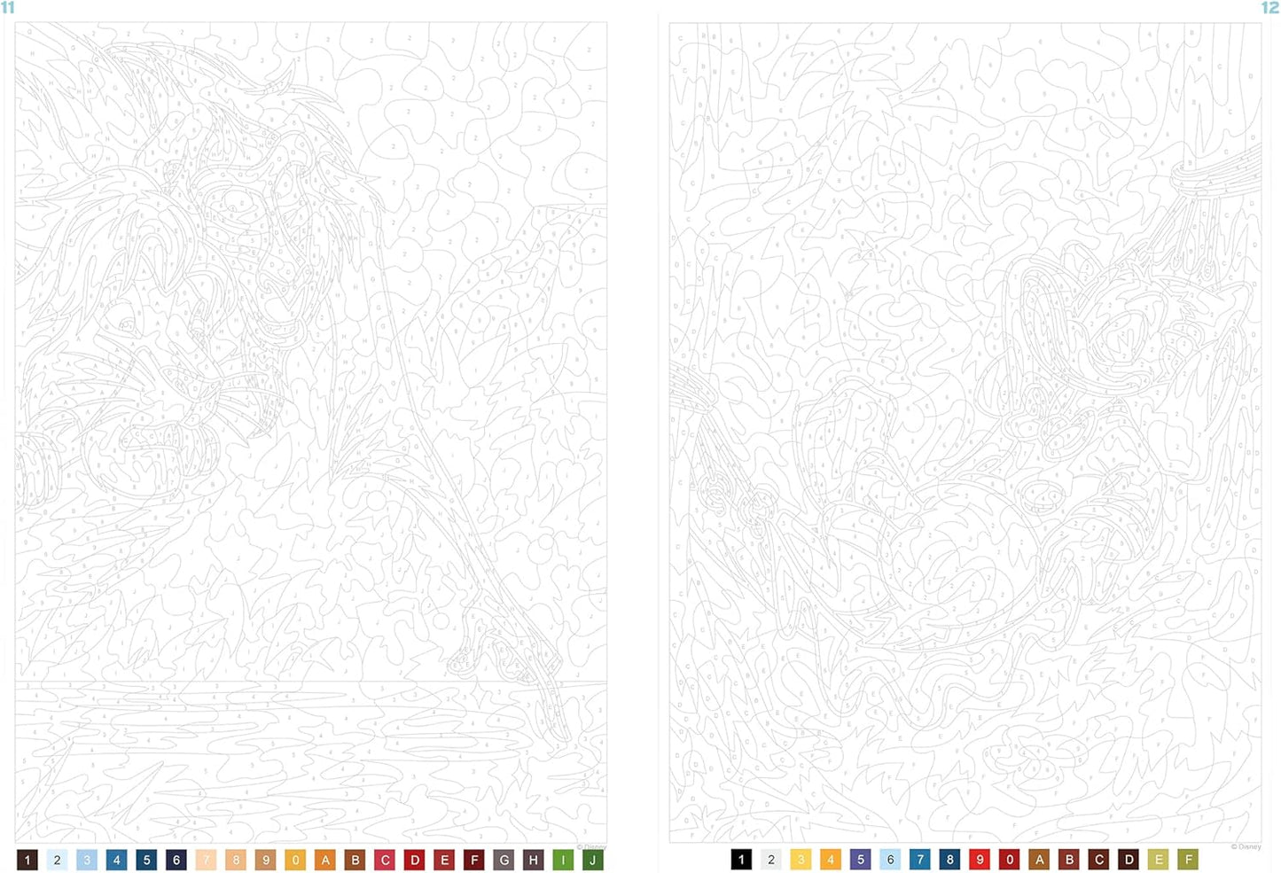 Coloriage Mystery Coloring Books (Nature)