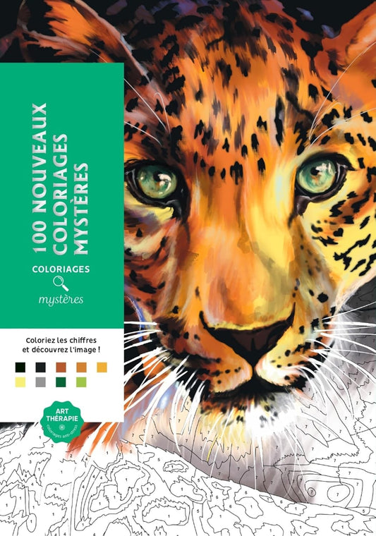 Coloriages Mysteres (100 Mix Coloring Pages)