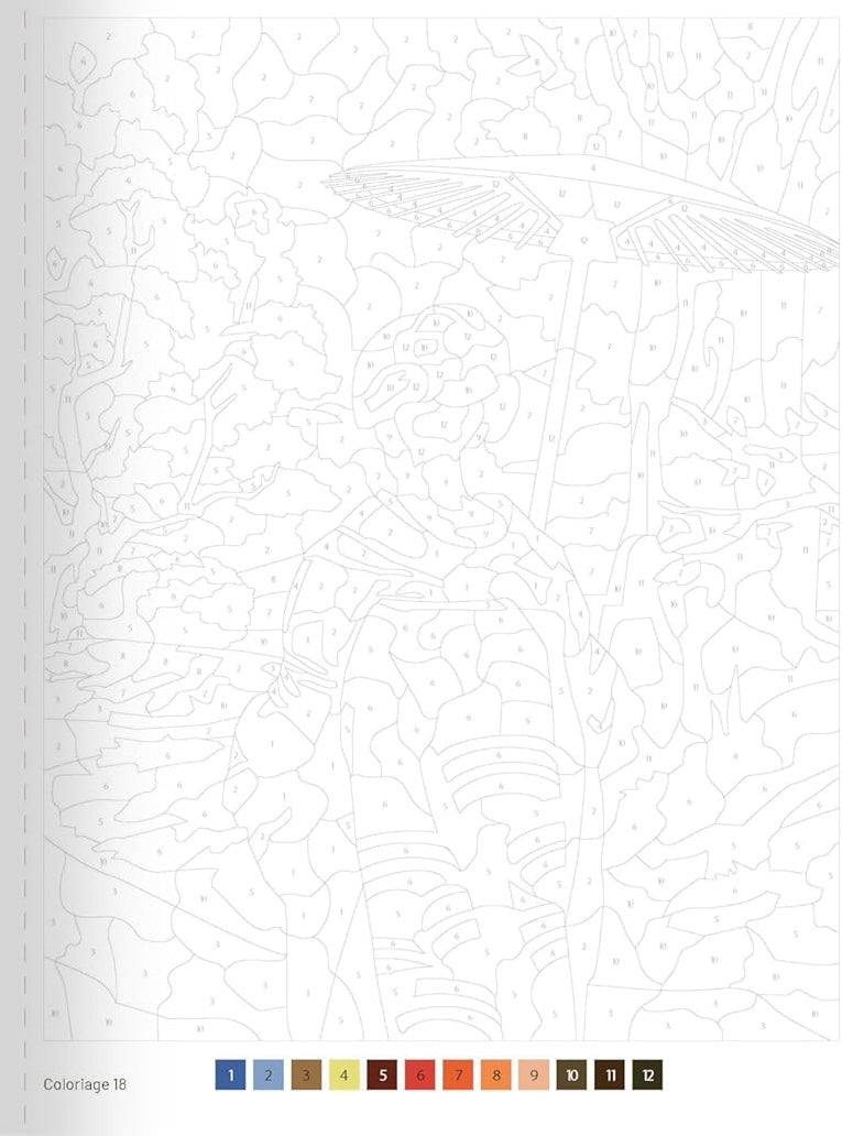 Coloriage Mystery Coloring Books (Japan)