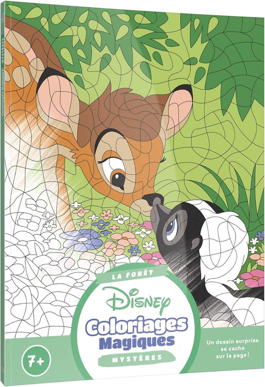 Kids Coloring Mystery Books (Nature)