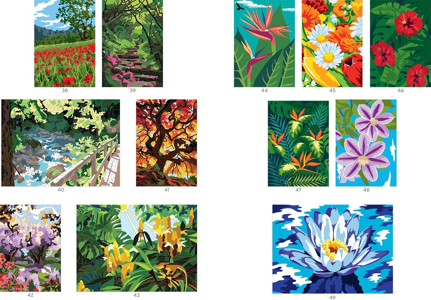 Coloriage Mystery Coloring Books (Extraordinary Gardens)